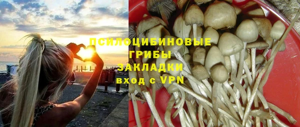 стафф Карталы