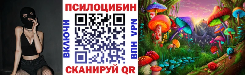 Псилоцибиновые грибы Cubensis  Купить  Советский 